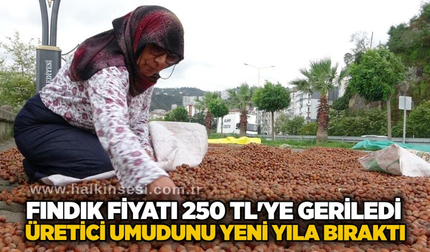 Fındık fiyatı 250 TL'ye geriledi, üretici umudunu yeni yıla bıraktı
