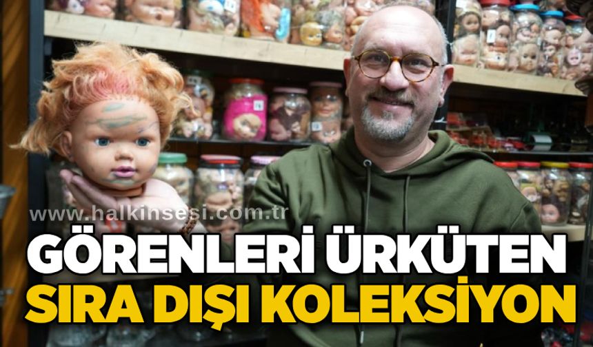 Görenleri ürküten sıra dışı koleksiyon