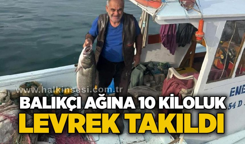 Balıkçı ağına 10 kiloluk levrek takıldı
