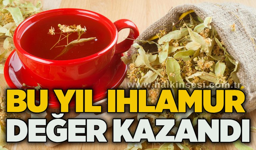 Bu yıl ıhlamur değer kazandı