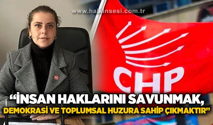 CHP'li Arslan: "İnsan haklarını savunmak, demokrasi ve toplumsal huzura sahip çıkmaktır”