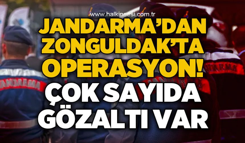 Jandarmadan 6 ilde silah kaçakçılığı operasyonu: 119 gözaltı