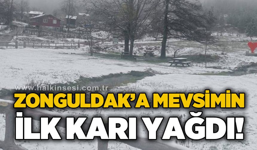 Zonguldak'a mevsimin ilk karı yağdı