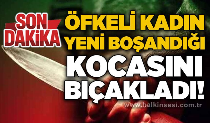 Öfkeli kadın yeni boşandığı kocasını bıçakladı