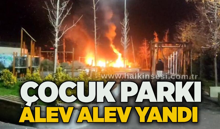 Çocuk parkı alev alev yandı
