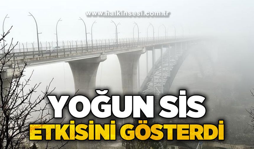 Yoğun sis etkisini gösterdi