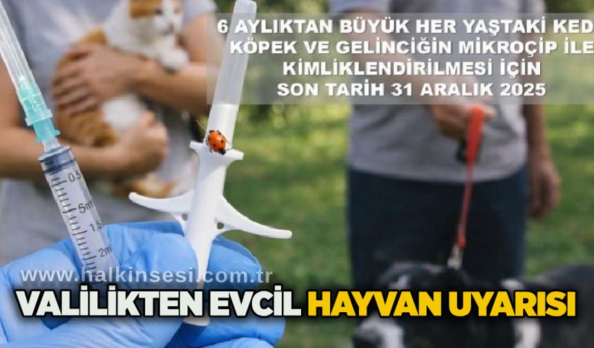 Valilikten evcil hayvan uyarısı