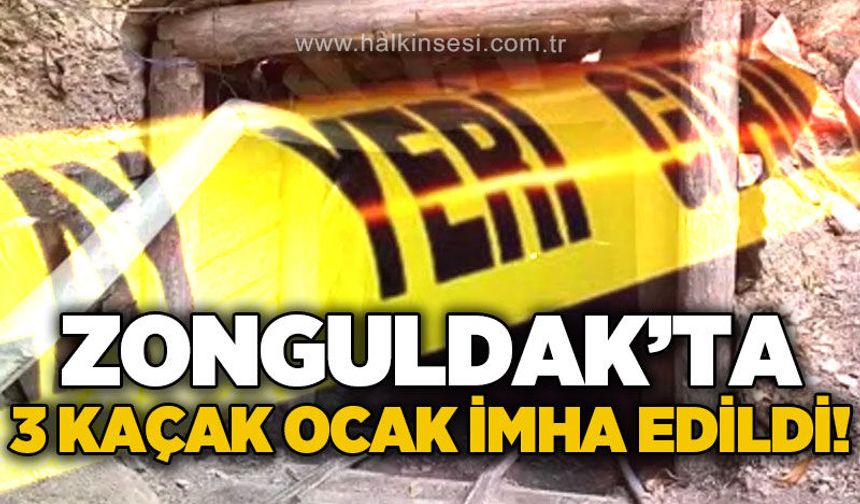Zonguldak'ta 3 kaçak ocak imha edildi