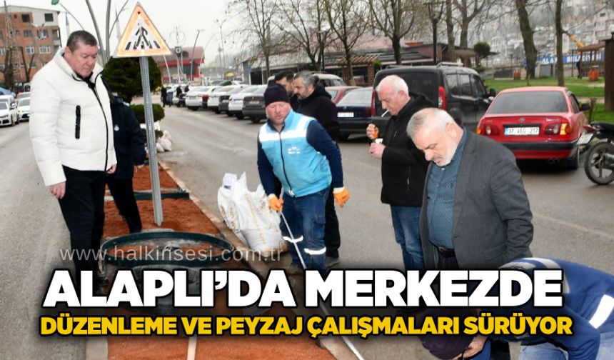 Alaplı’da merkezde düzenleme ve peyzaj çalışmaları sürüyor
