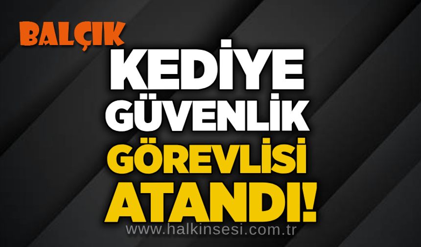 Kediye Güvenlik görevlisi atandı!