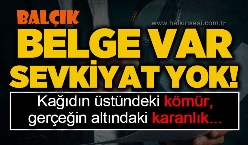 Belge var, sevkiyat yok: Kâğıdın üstündeki kömür, gerçeğin altındaki karanlık