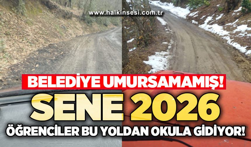 Sene 2026: Öğrenciler bu yoldan okula gidiyor, Zonguldak Belediyesi sessizliğini koruyor!
