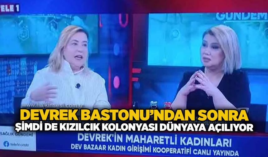 Devrek Bastonu’ndan sonra şimdi de kızılcık kolonyası Dünyaya açılıyor