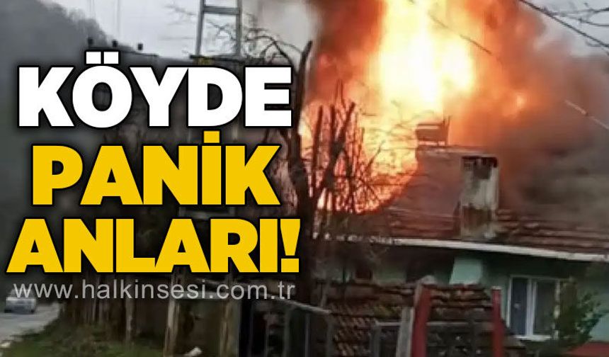 Köyde panik anları: Ev alevlere teslim oldu!