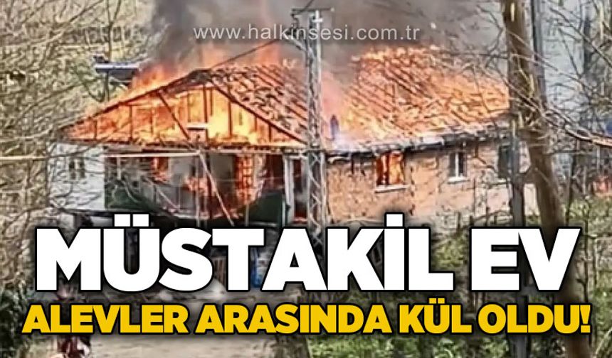 Müstakil ev, alevler arasında kül oldu!