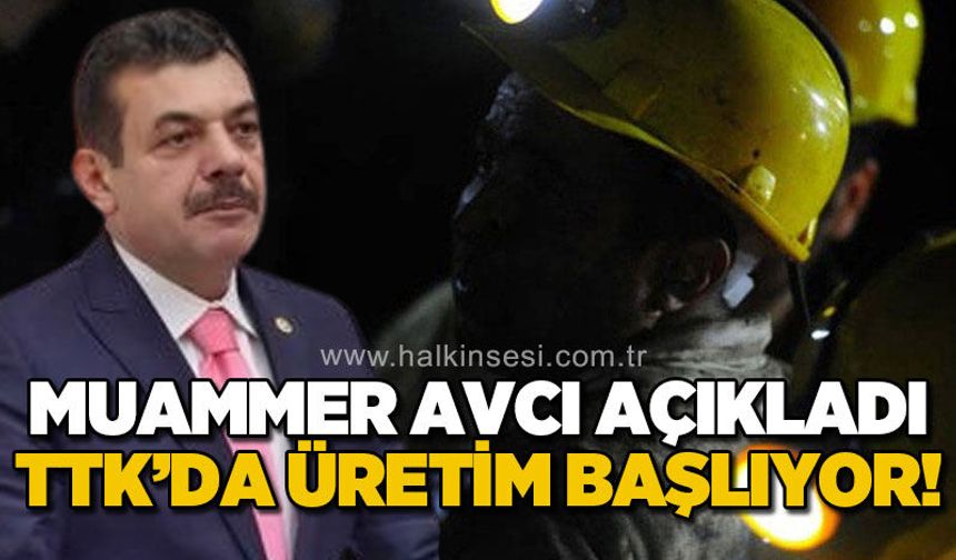 Muammer Avcı açıkladı: TTK Armutçuk'ta üretim başlıyor