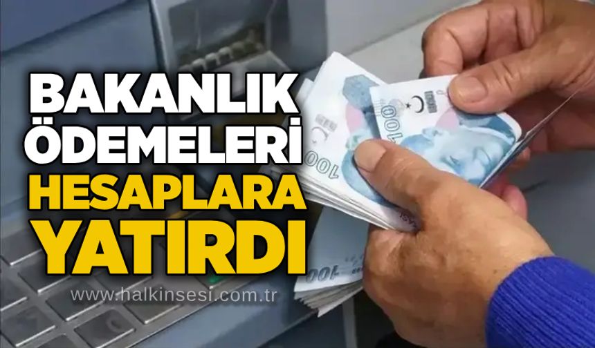 Bakanlık ödemeleri hesaplara yatırdı