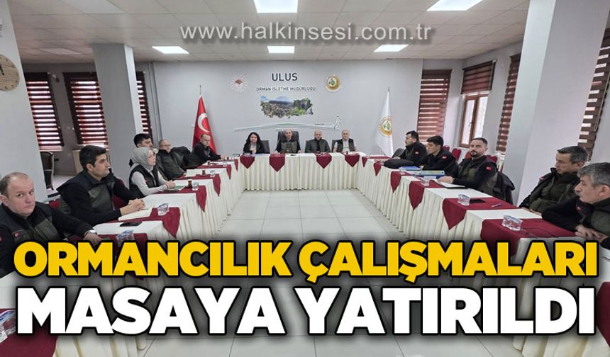 Ormancılık çalışmaları masaya yatırıldı