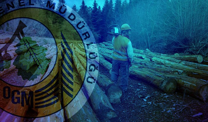 Ağaç Kesim İşleri hizmet alımı yapılacak