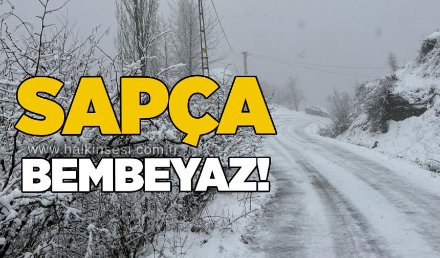 Sapça'da kar yağışı etkili oldu