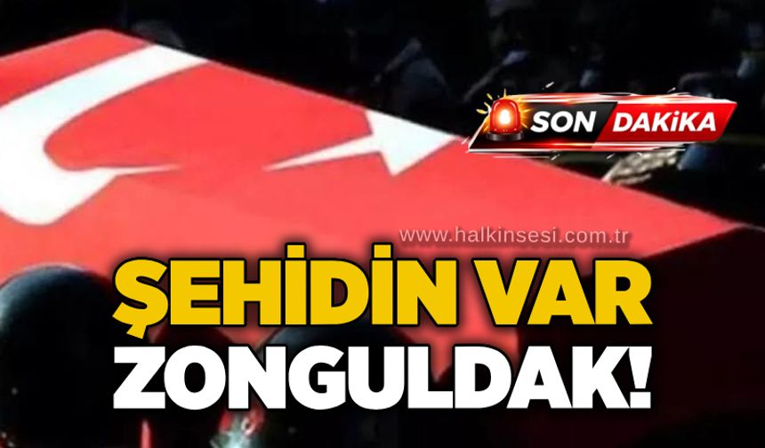 Şehidin var Zonguldak!