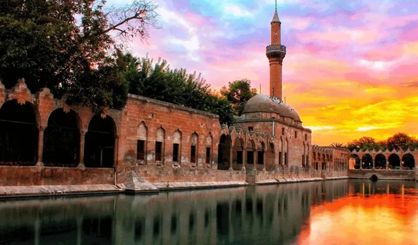 Türkiye'nin Tahıl Ambarı Ceylanpınar'da Hasat Heyecanı Başladı