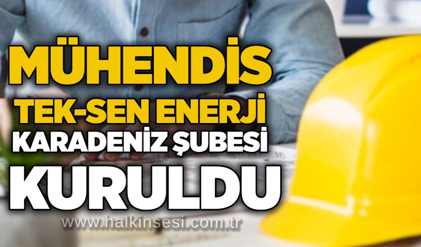 Mühendis Tek-Sen Enerji Karadeniz şubesi kuruldu