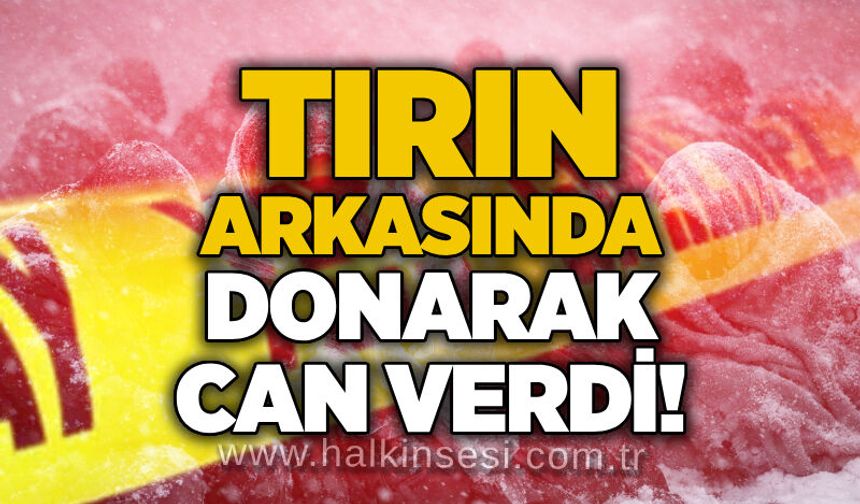 Tırın arkasında donarak can verdi!
