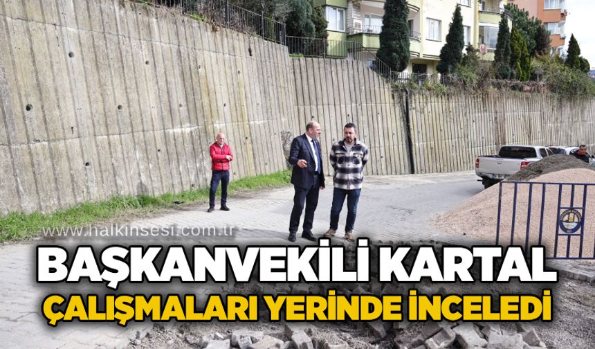 Başkanvekili Kartal çalışmaları yerinde inceledi
