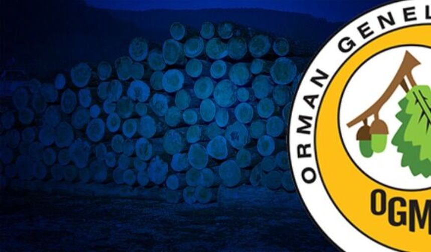 Orman çalışmalarının takibi ve kontrolü hizmeti alınacak