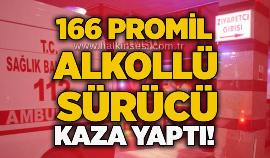 166 promil alkollü sürücü kaza yaptı!