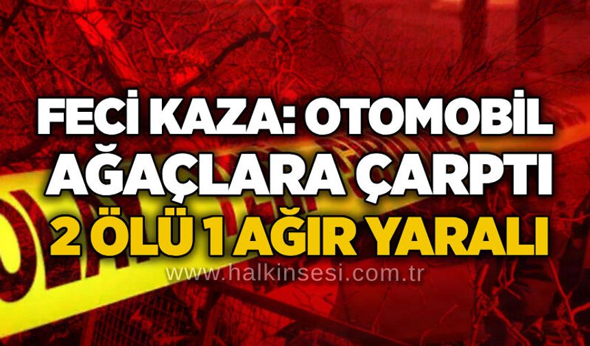 Feci kaza: Otomobil ağaçlara çarptı, 2 ölü 1 ağır yaralı