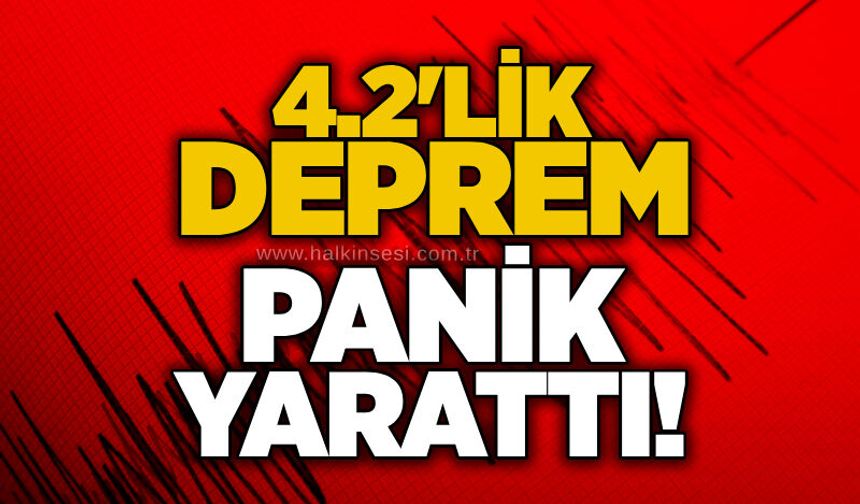 4.2'lik deprem panik yarattı!