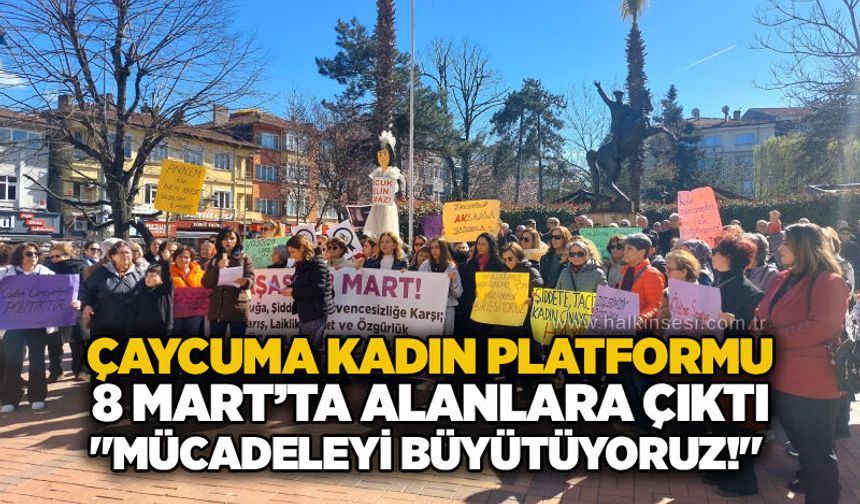 Çaycuma Kadın Platformu 8 Mart’ta alanlara çıktı: "Mücadeleyi büyütüyoruz!"