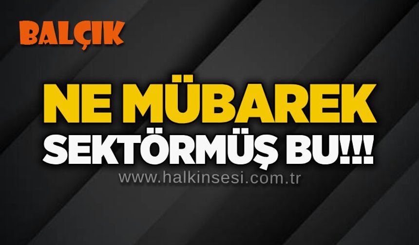 Ne mübarek sektörmüş bu!!!