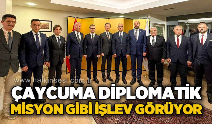 Çaycuma diplomatik misyon gibi işlev görüyor