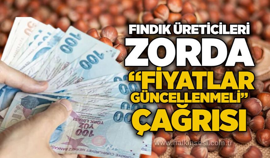 Fındık üreticileri zorda: “Fiyatlar güncellenmeli” çağrısı