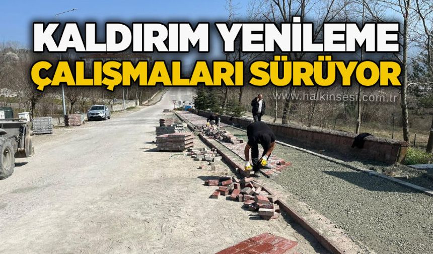 Kaldırım yenileme çalışmaları sürüyor