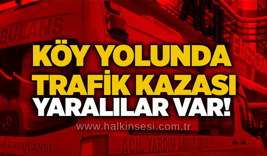 Köy yolunda trafik kazası: Yaralılar var!