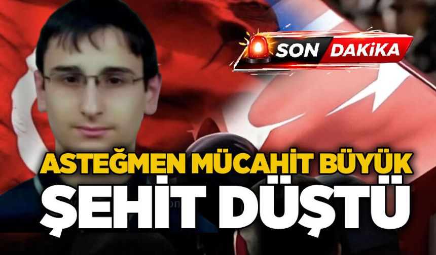 Asteğmen Mücahit Büyük şehit düştü
