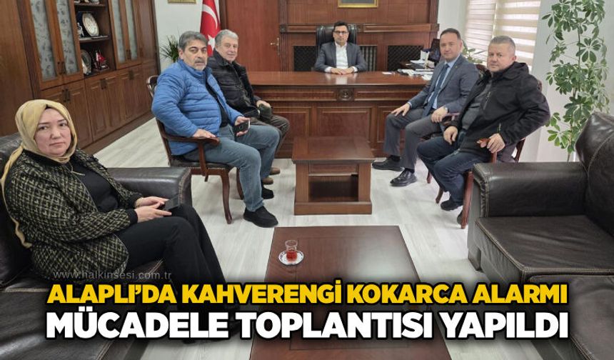 Alaplı’da kahverengi kokarca alarmı: Mücadele toplantısı yapıldı