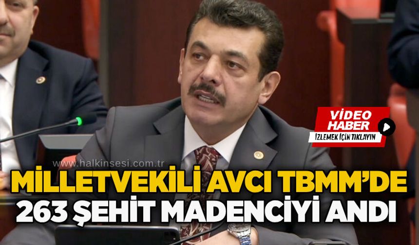 Milletvekili Avcı TBMM’de 263 şehit madenciyi andı
