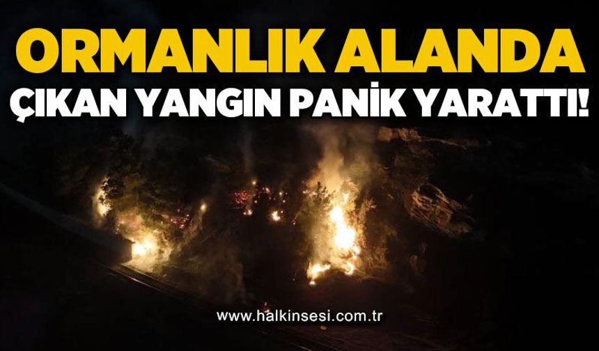 Ormanlık alanda çıkan yangın panik yarattı