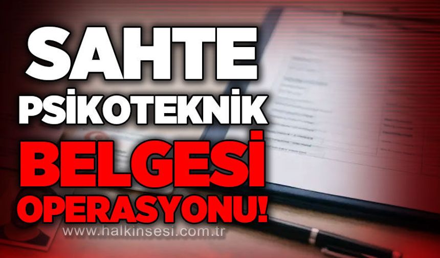 Sahte psikoteknik operasyonu: 29 gözaltı