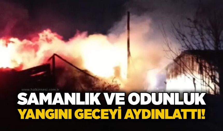 Samanlık ve odunluk yangını geceyi aydınlattı!