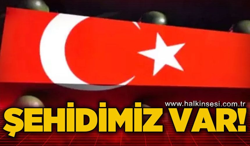 Şehidimiz var!