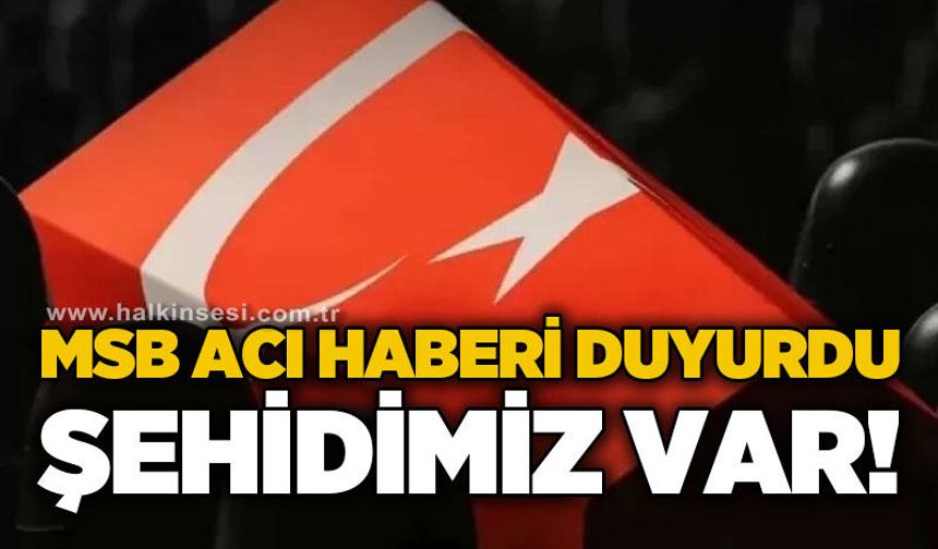 MSB duyurdu: Uzman Çavuş Yusuf Açay şehit düştü