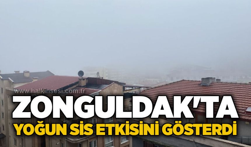 Zonguldak'ta yoğun sis etkisini gösterdi