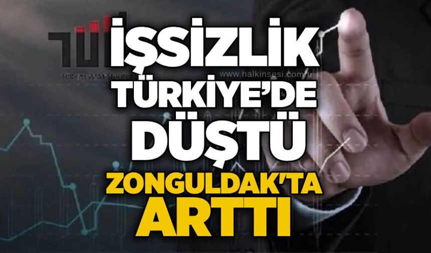 İşsizlik Türkiye’de düştü: Zonguldak arttı