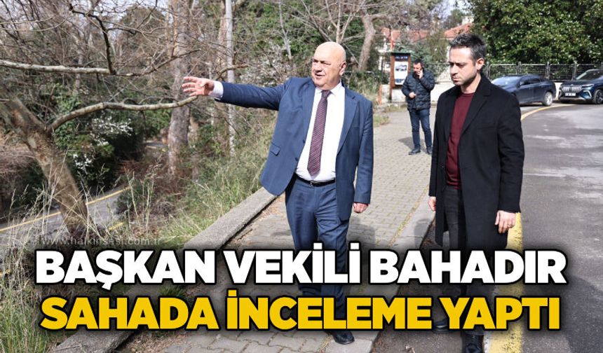 Başkan Vekili Bahadır sahada inceleme yaptı
